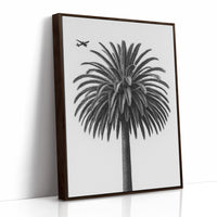Palm Crown and Passing Plane