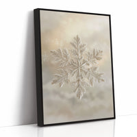 Frost Patterns Dance In Winter