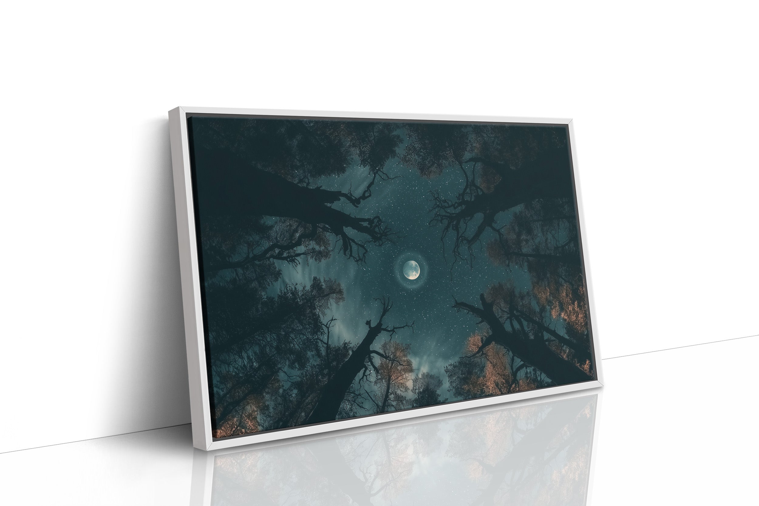 Moon, Through the Canopy