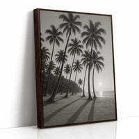 Palm Shadows at Sunrise
