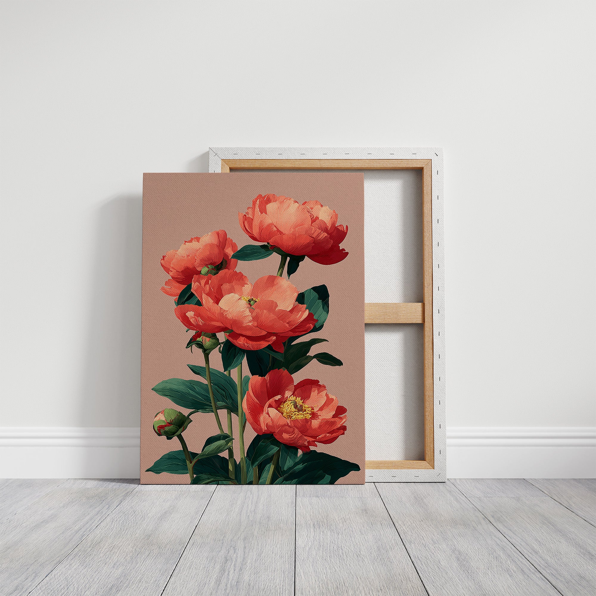 Coral Peonies in Bloom