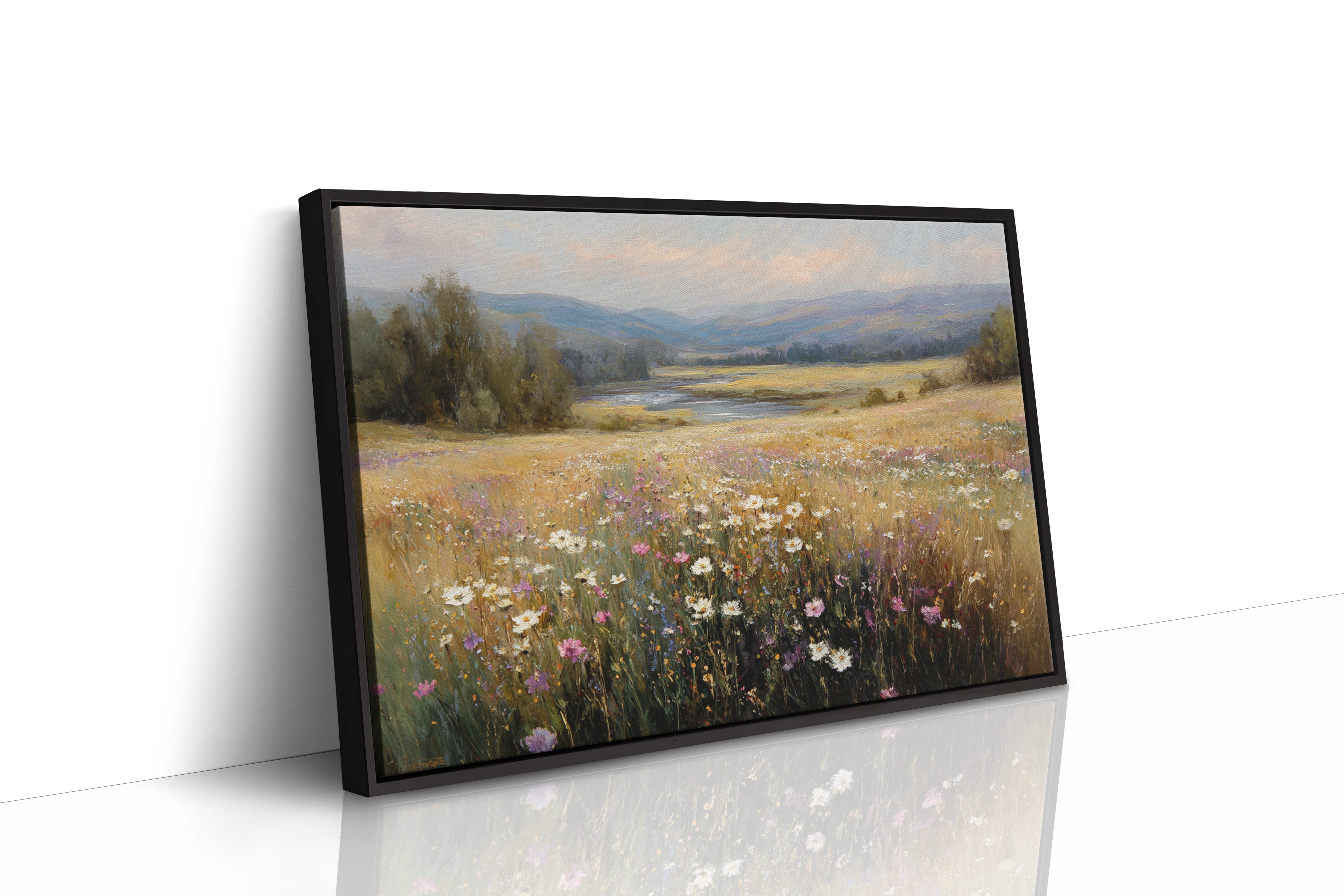 Fields of Color and Light