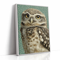 Wide-Eyed Little Owl