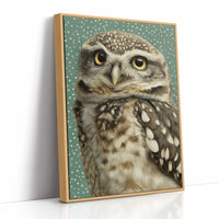 Wide-Eyed Little Owl