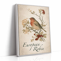 Robin the Hawthorn Blind