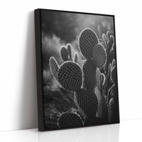 Moonlit Thorns Tell Desert Tales