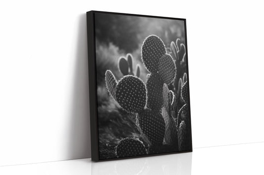 Moonlit Thorns Tell Desert Tales