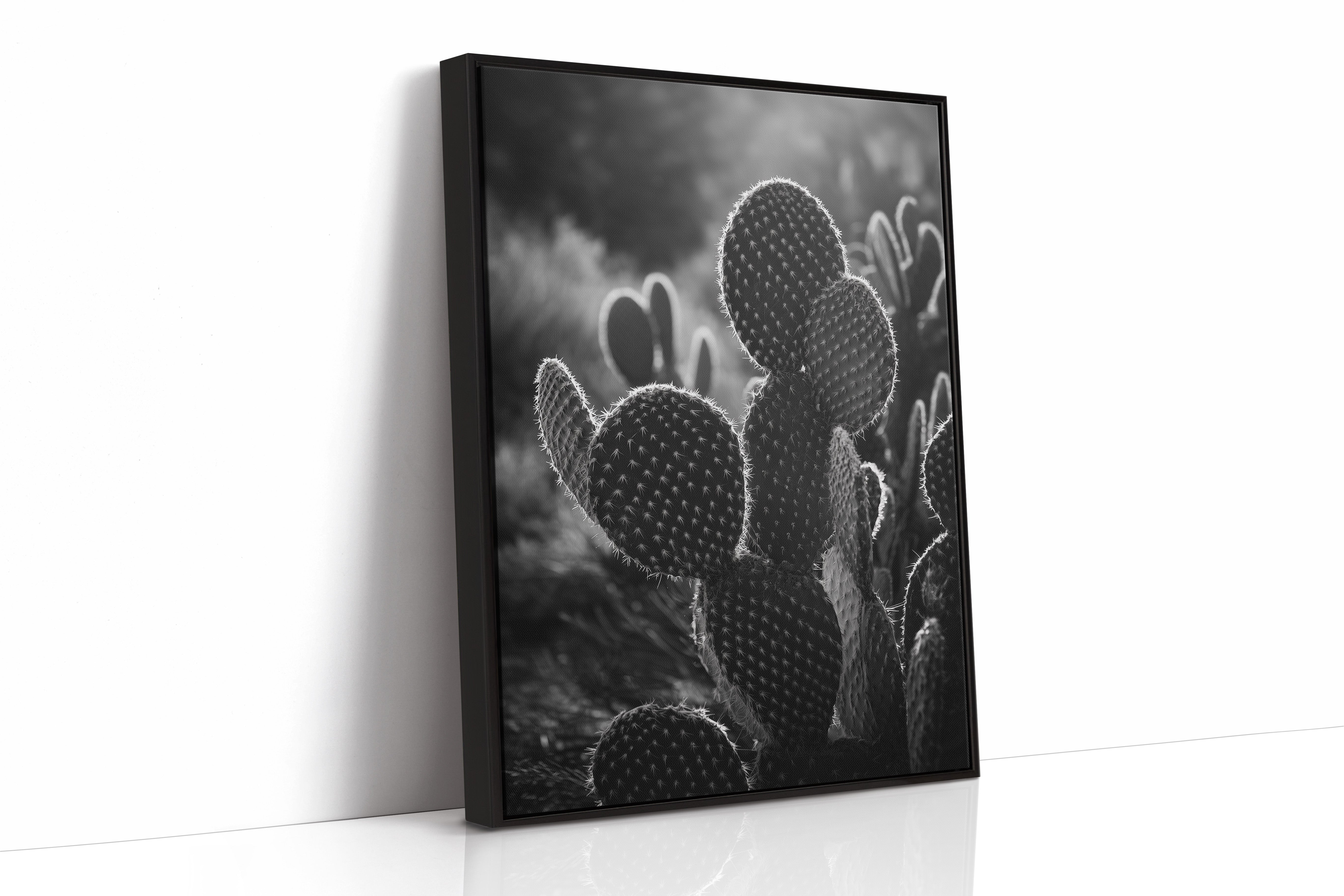 Moonlit Thorns Tell Desert Tales