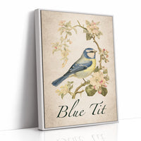 Blue-Blooded Among the Blossoms