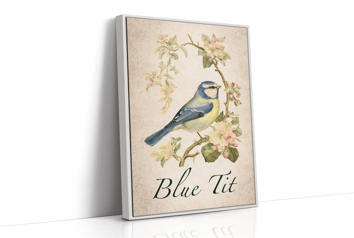 Blue-Blooded Among the Blossoms