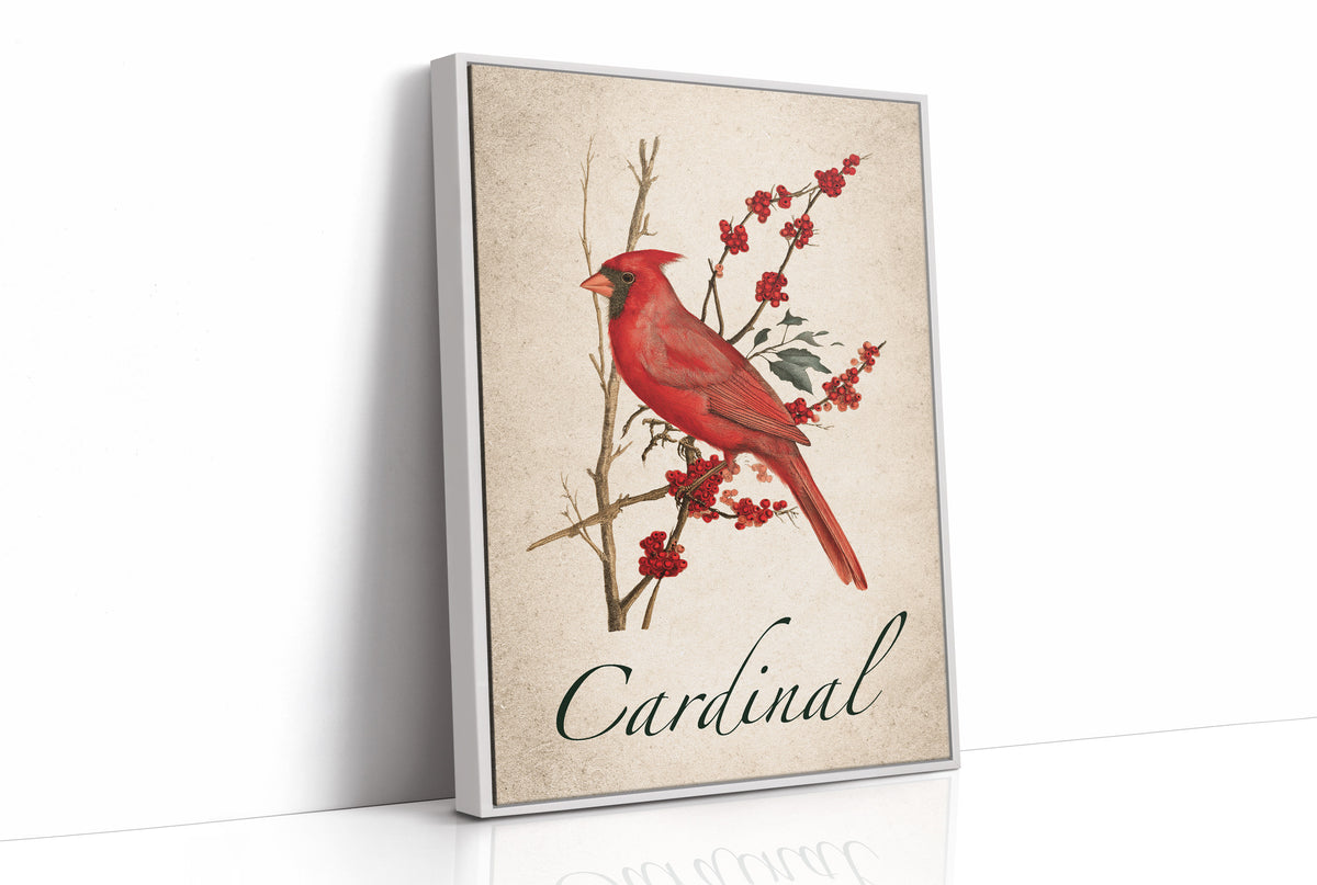 A Cardinal Rule of Winter