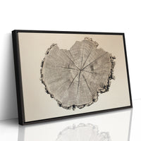 Timber Tales of Time