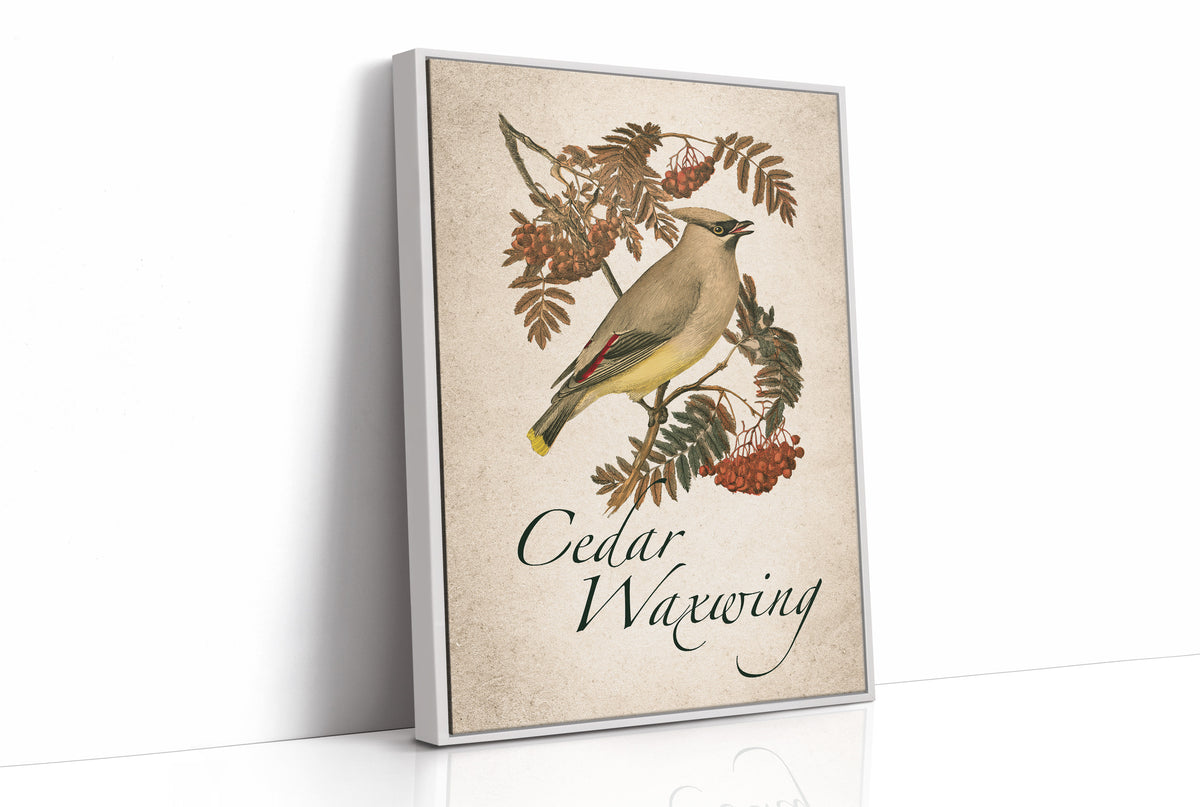 Waxing Poetic Over Rowan Berries