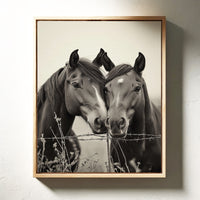 Close Companions at the Fence Line