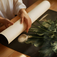 Ivory Blooms In Shadow