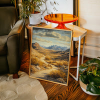 Winding Trail Through Golden Desert