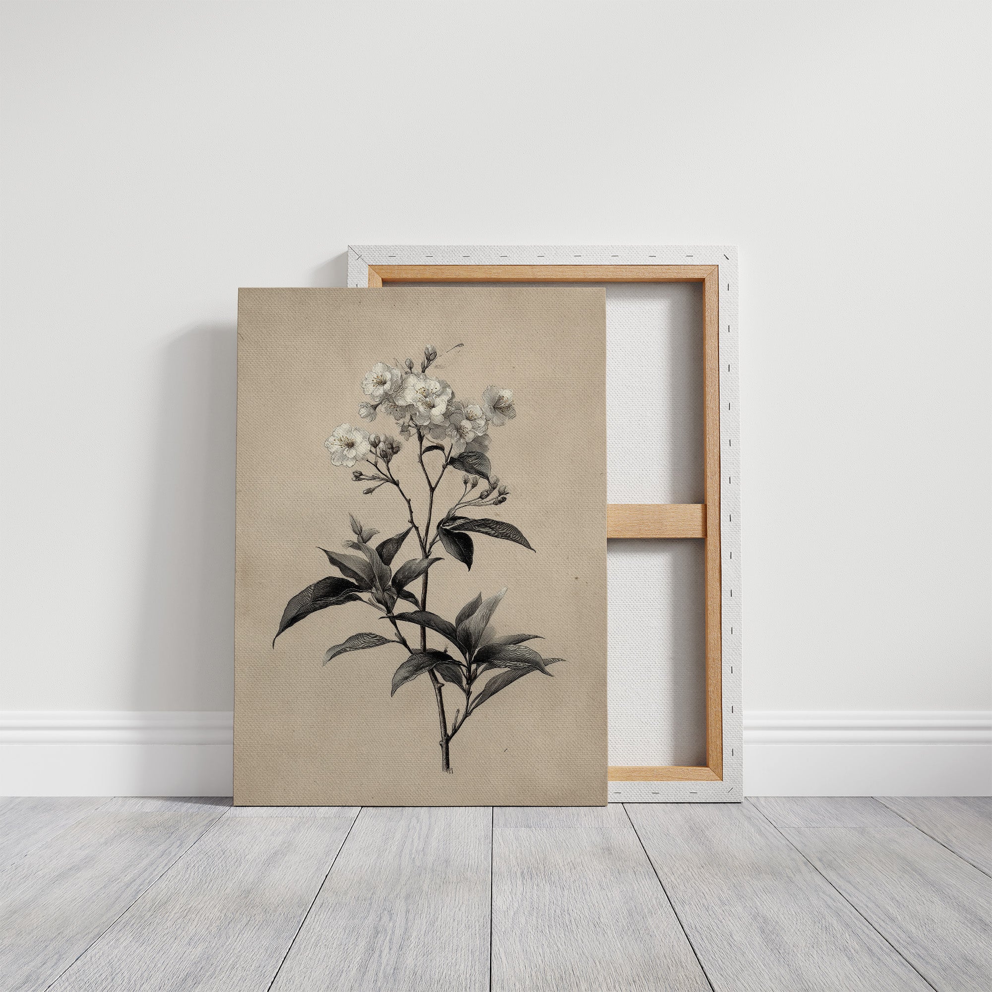 Drawn the Morning It Bloomed