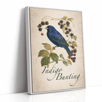Bramble On, Blue Crooner