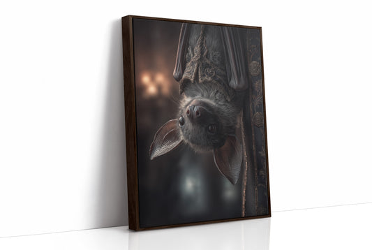 Midnight Curiosity Hangs Upside Down