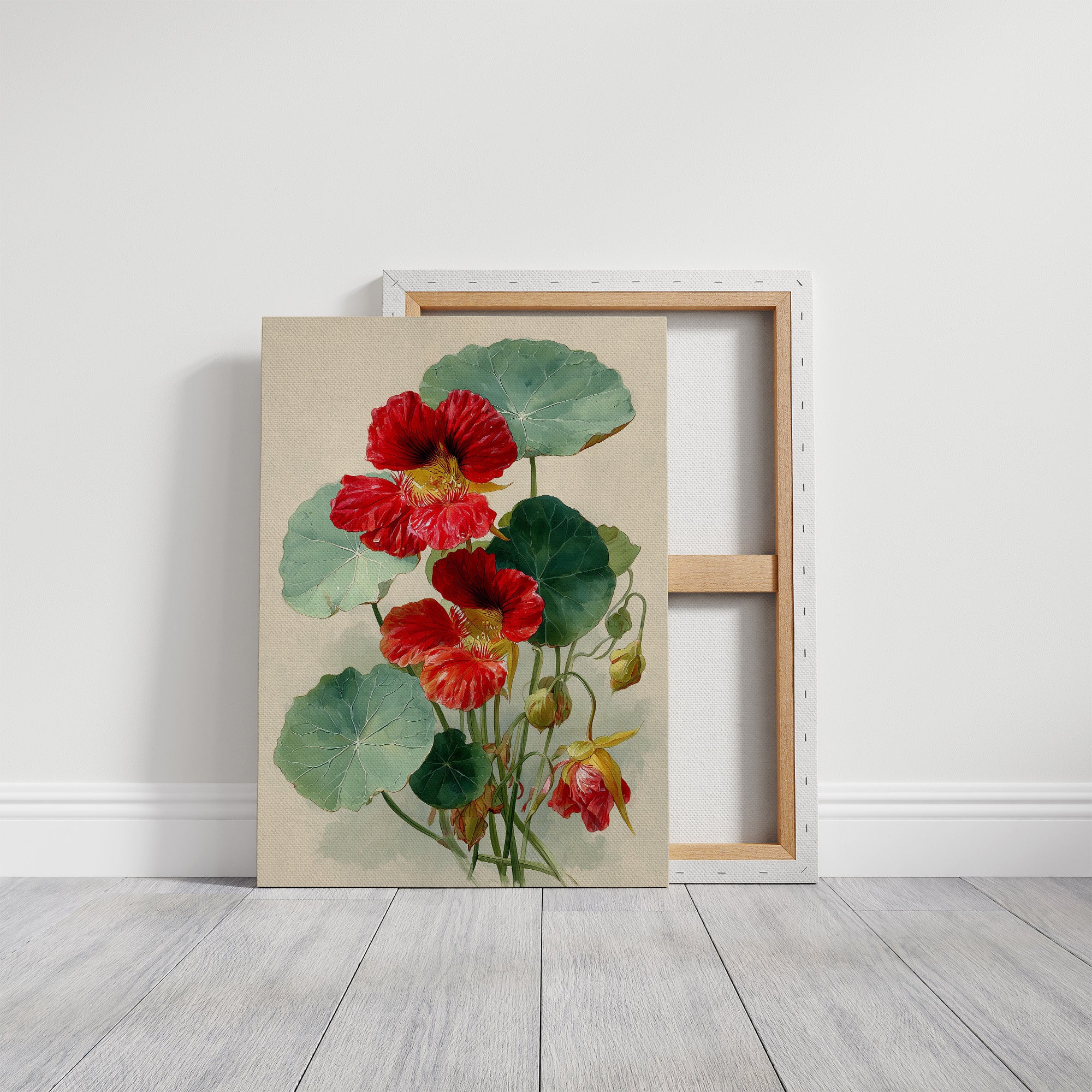 The Nasturtium Never Apologises