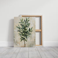 Olive Branch, Fruit and Leaf