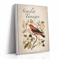 Scarlet Letter Among the Magnolias