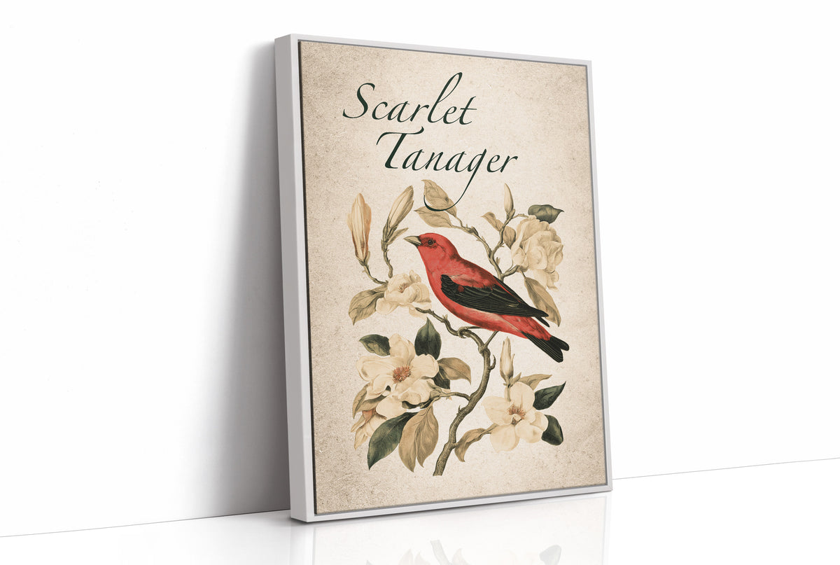 Scarlet Letter Among the Magnolias