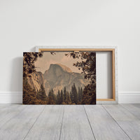 Ancient Granite Catches Golden Light