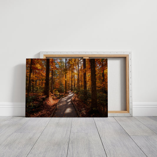 Autumn Path Weaves Golden Stories