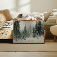 Snow Settles Among Silent Pines