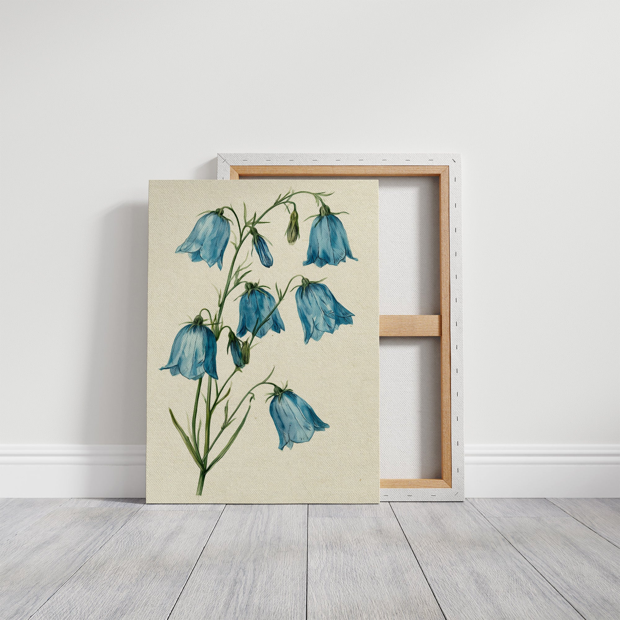 Bell Bottom Blues: A Bluebell Study