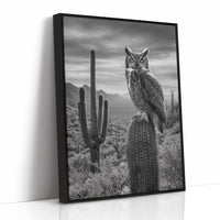 Night Watch Over Saguaro Plains