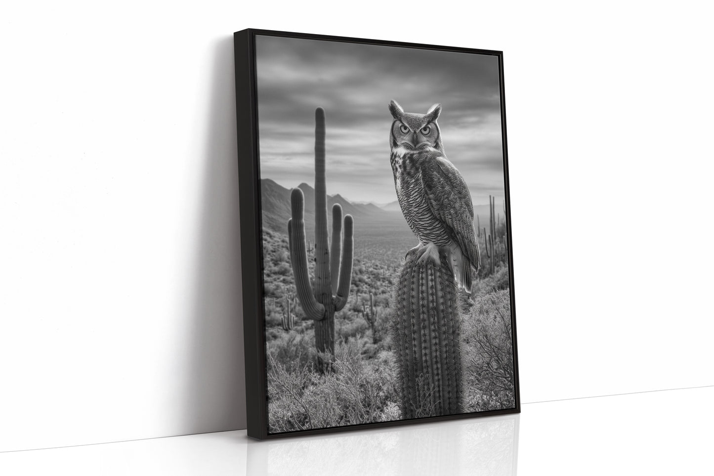 Night Watch Over Saguaro Plains