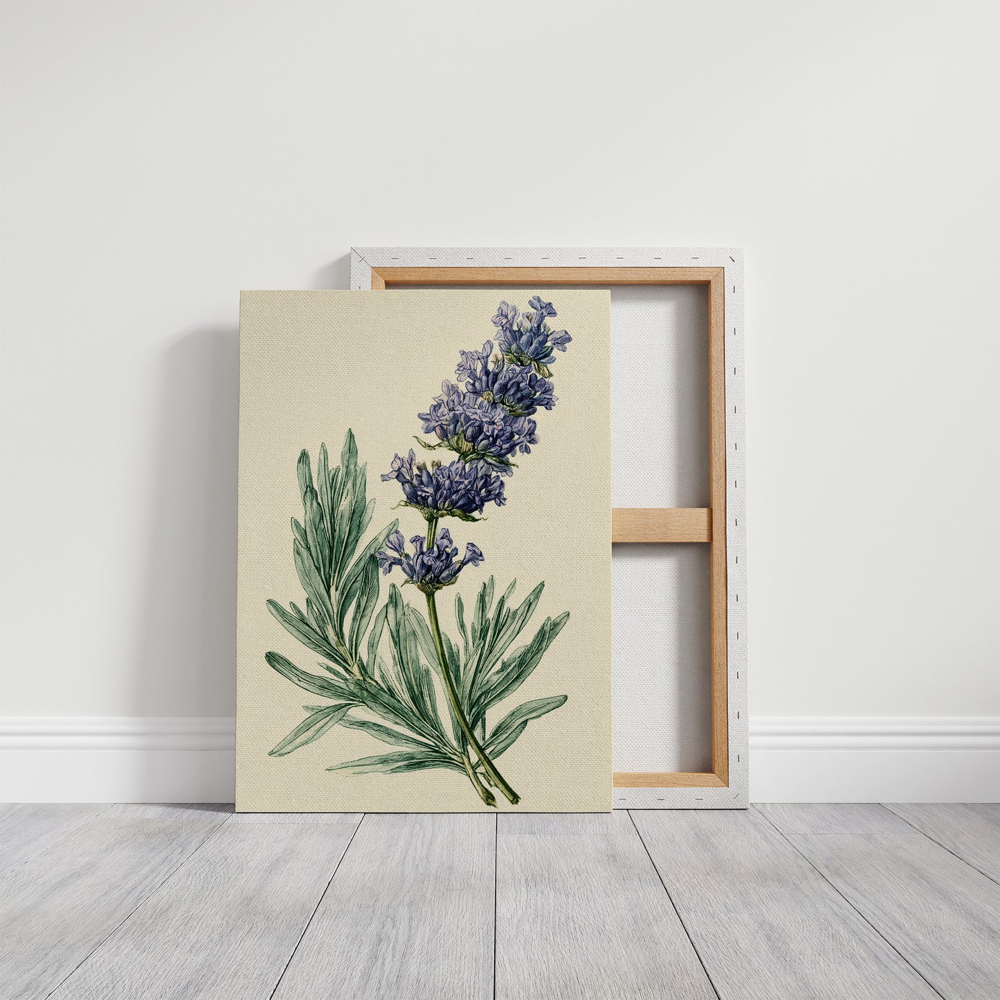 Sprig of Lavender Study