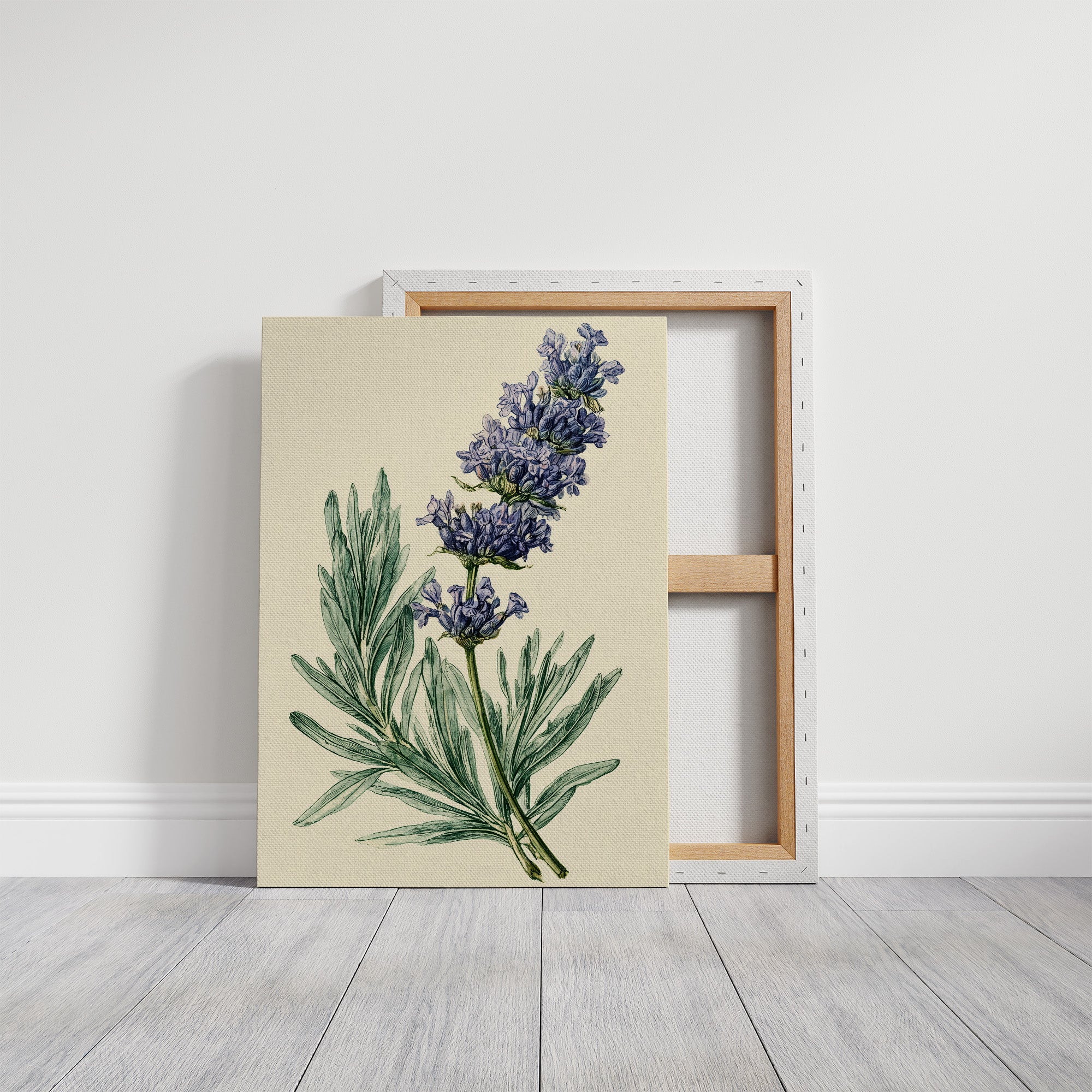 Sprig of Lavender Study