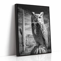 Saguaro Nights Watch The Owl