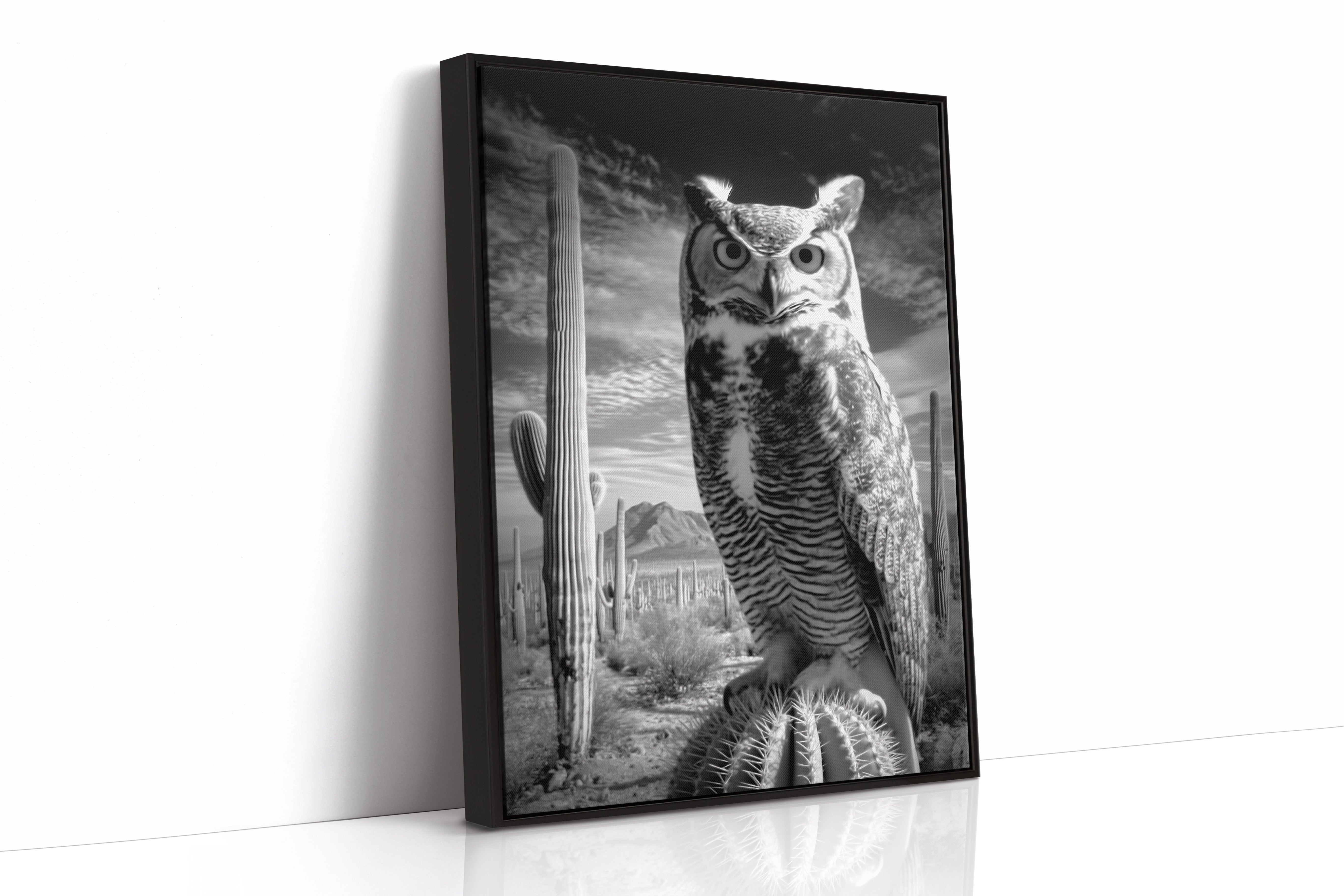 Saguaro Nights Watch The Owl