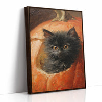 Curious Kitten in Pumpkin