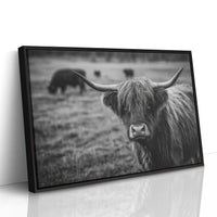 Gaze of the Highland Guardian