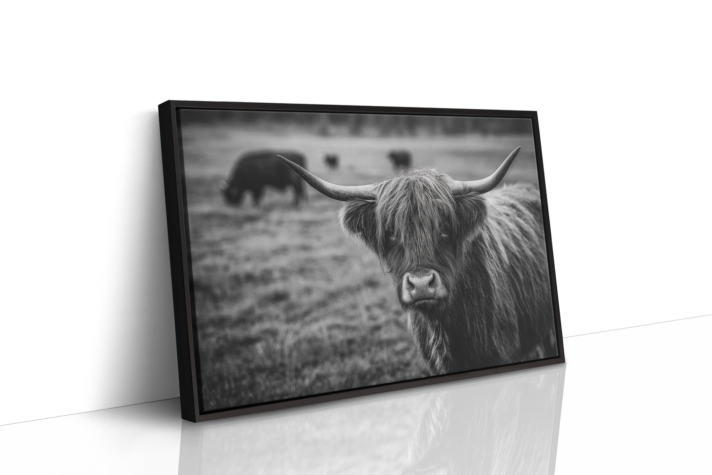Gaze of the Highland Guardian