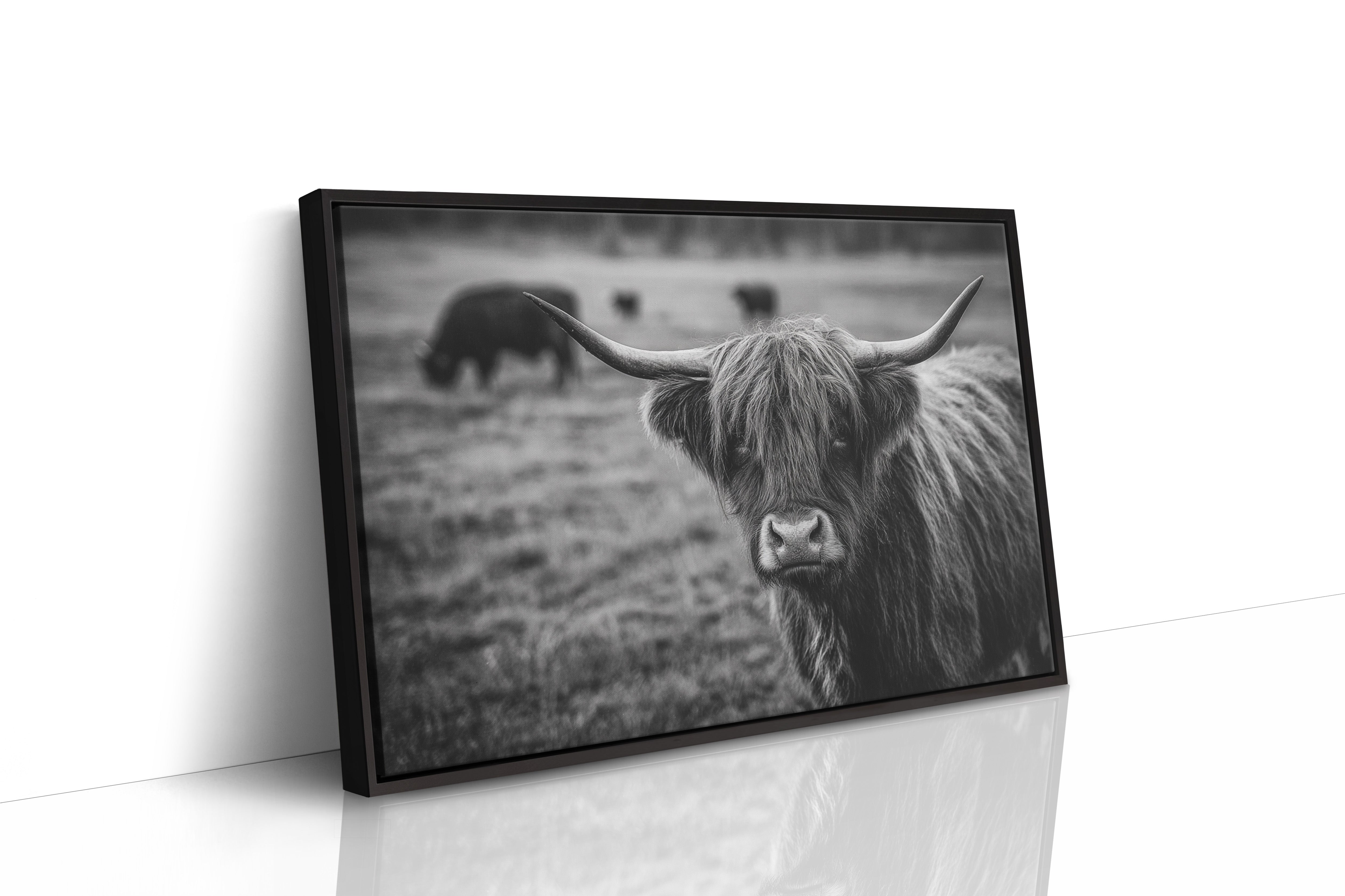 Gaze of the Highland Guardian