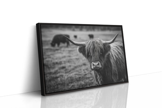 Gaze of the Highland Guardian