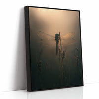 Dragonfly Pauses In Amber Light