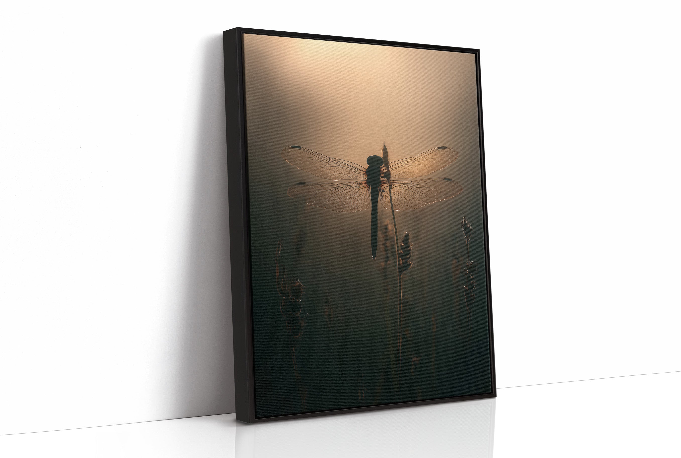 Dragonfly Pauses In Amber Light