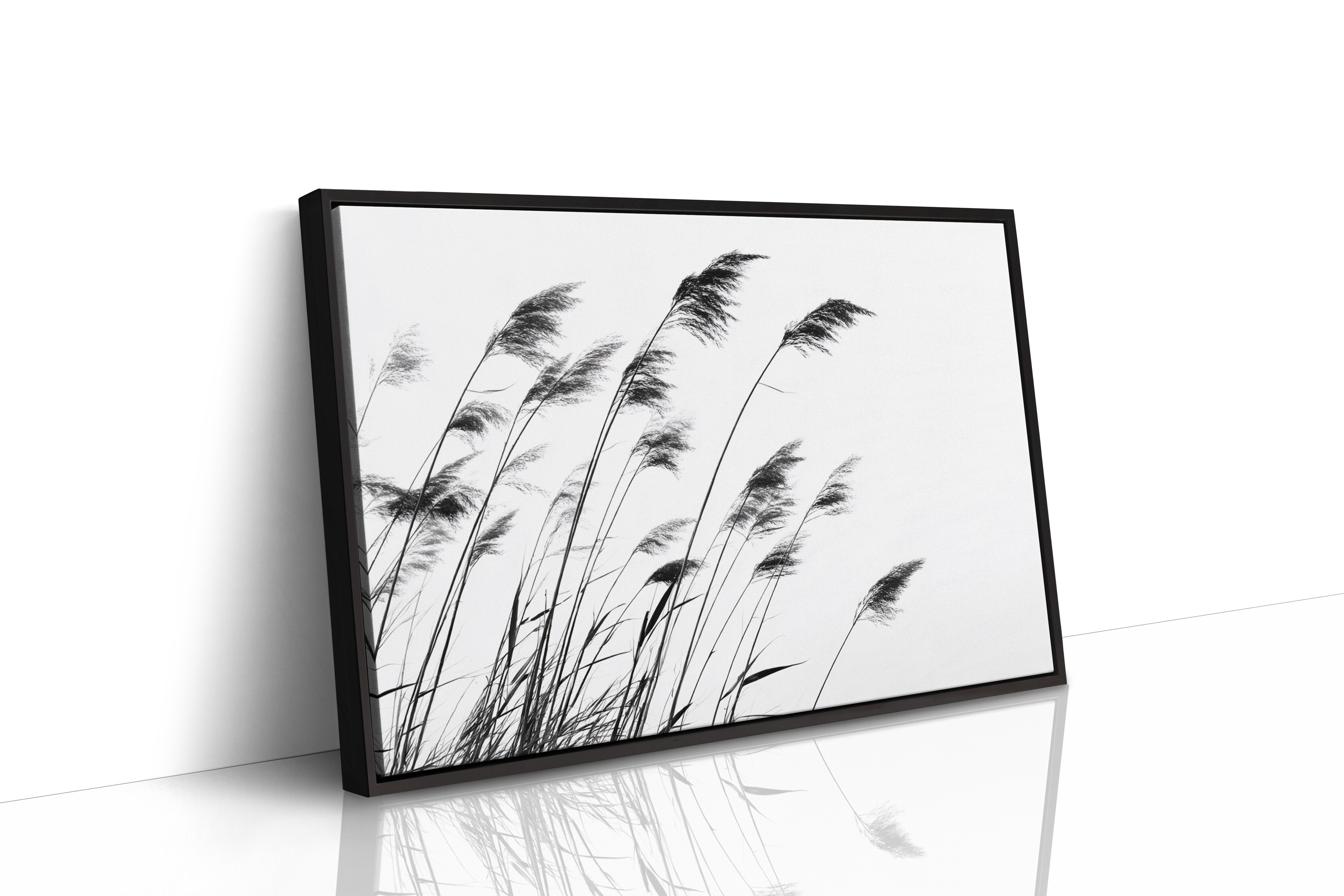 Swaying Secrets of the Marsh