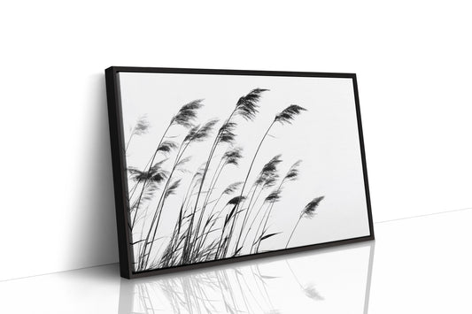 Swaying Secrets of the Marsh