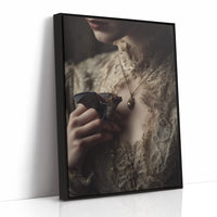 Nocturnal Companion In Lace