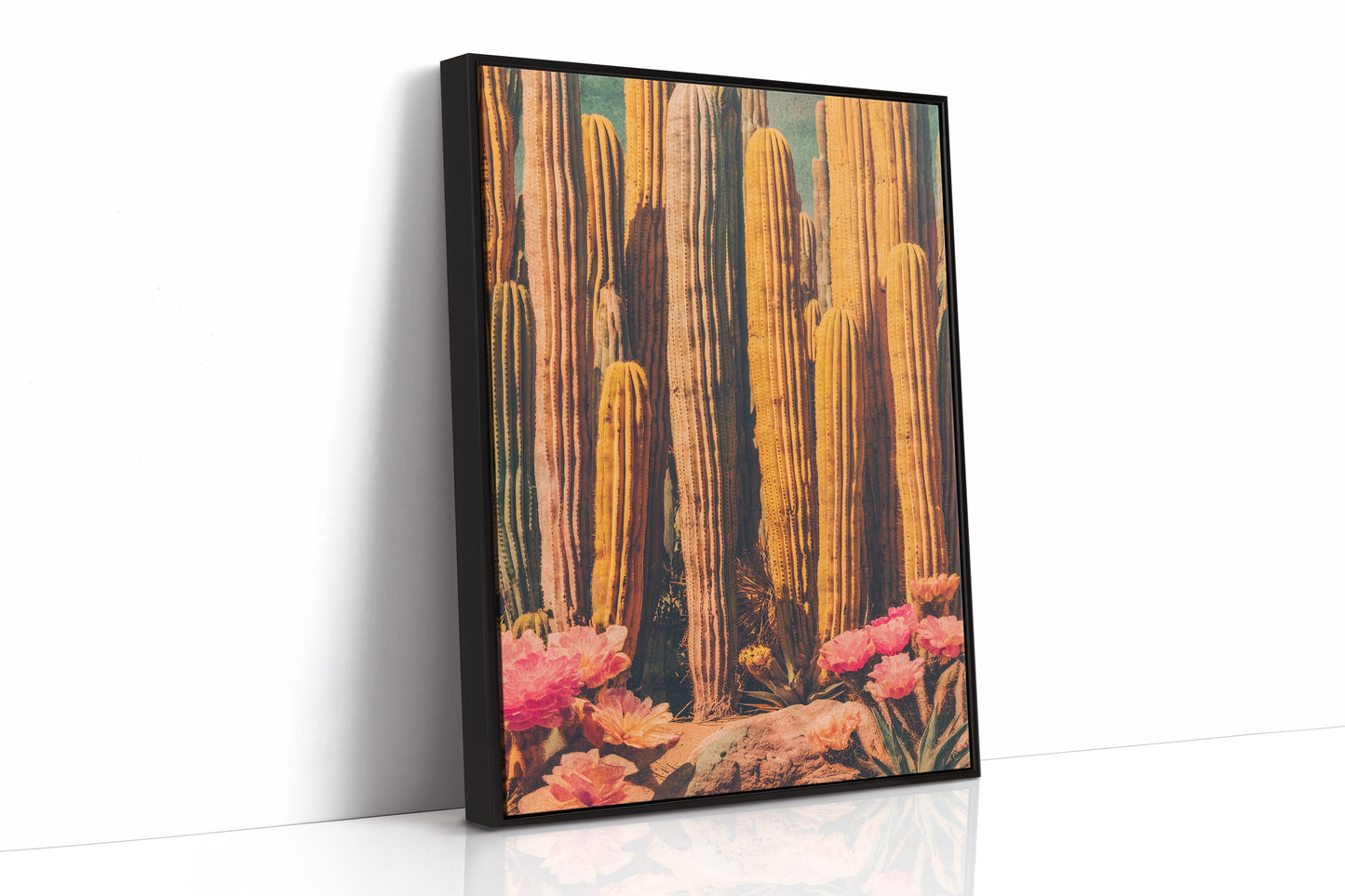 Saguaros Paint Their Desert Stories