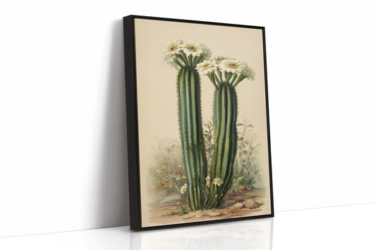 Saguaro Stories Light Desert Memories