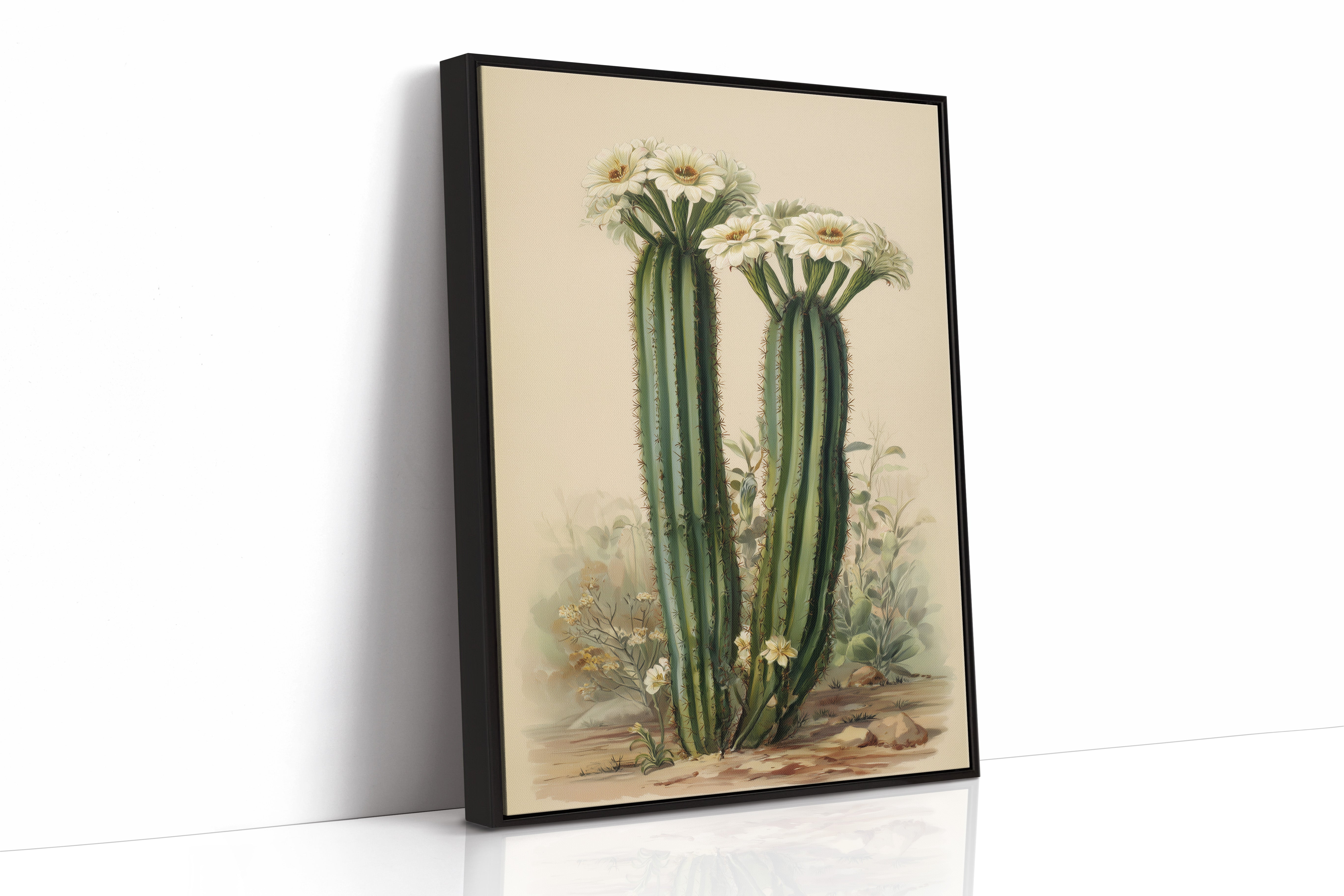 Saguaro Stories Light Desert Memories